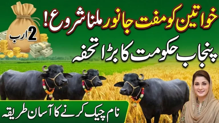 Punjab Livestock Department Completes E-Balloting for Rs 2 Billion Women Scheme